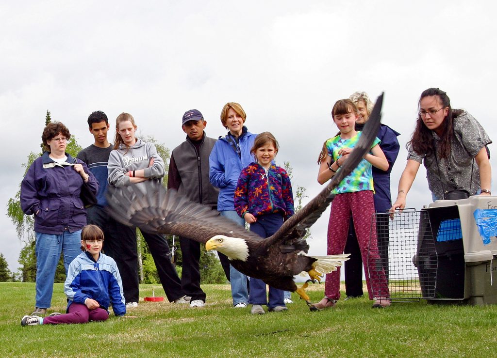 Eagle Release During Migratory Bird Day 2005 National Archives Identifier: 166690378